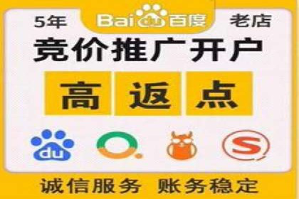 某知名品牌sem账户托管的成功秘诀